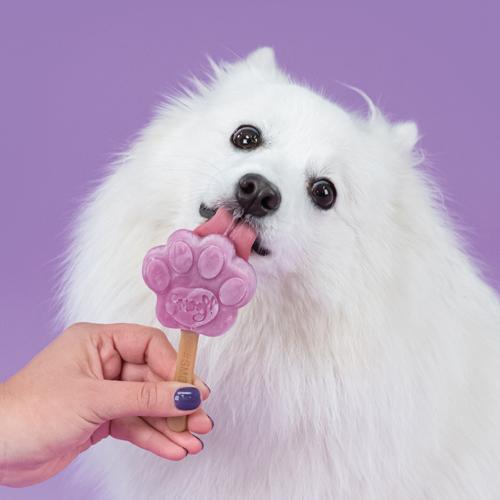 Smoofl Hundeis Starterkit - Extra Small