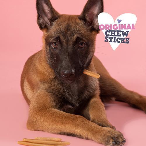 Smoofl Chew Sticks ( ispind ) (UDSOLGT)