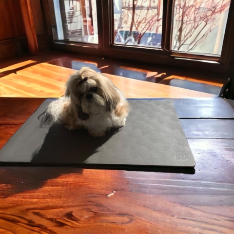 B&B Professionel Grommingmåtte 60 x 90 cm