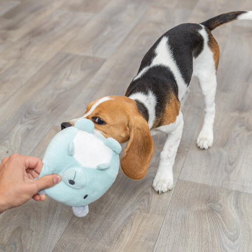 Trixie Junior plys bjørn - blå