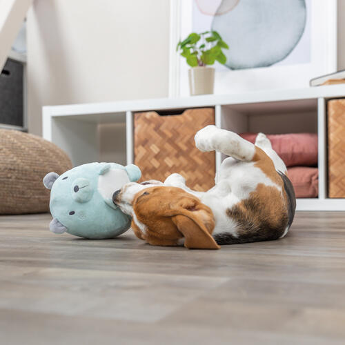 Trixie Junior plys bjørn - blå