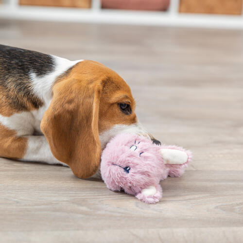 Trixie Junior kanin med plys & bidering