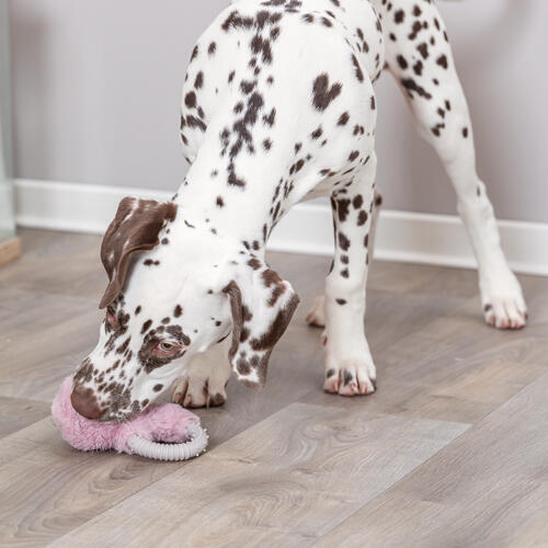 Trixie Junior kanin med plys & bidering