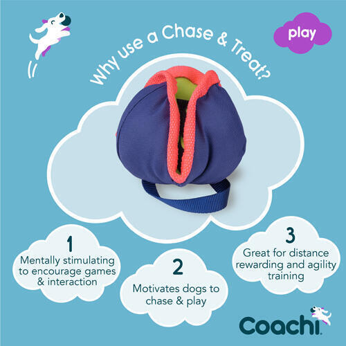 Coachi Chase & Treat