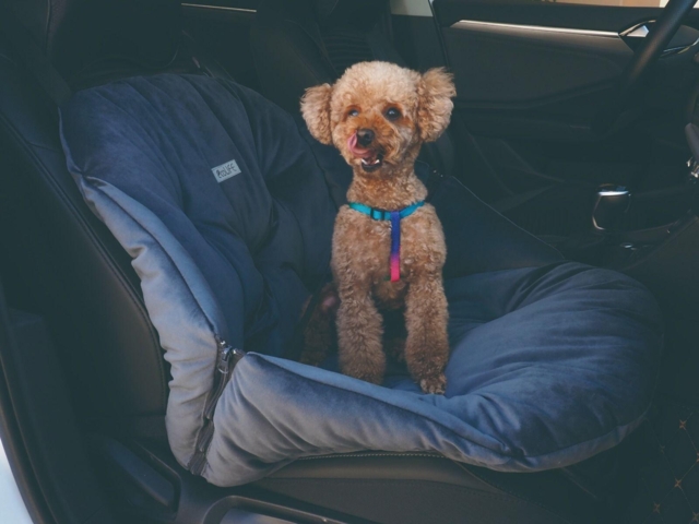 PB Bertil Bilsæde Grøn