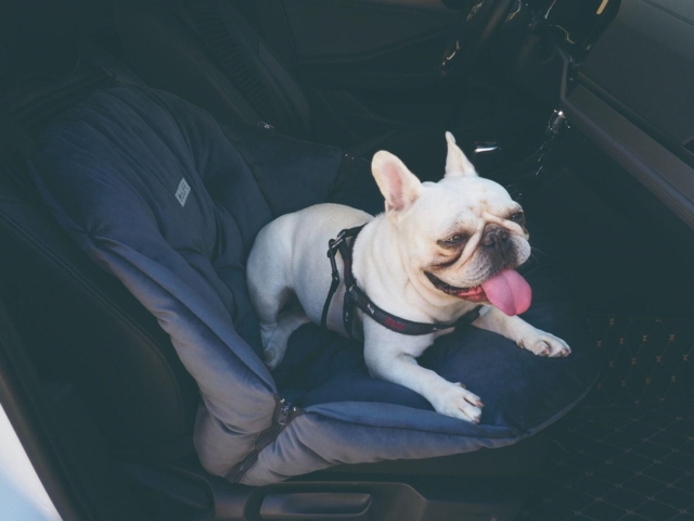 PB Bertil Bilsæde Grøn