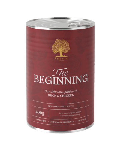 ESSENTIAL the BEGINNING PÂTÉ 6 x 400G