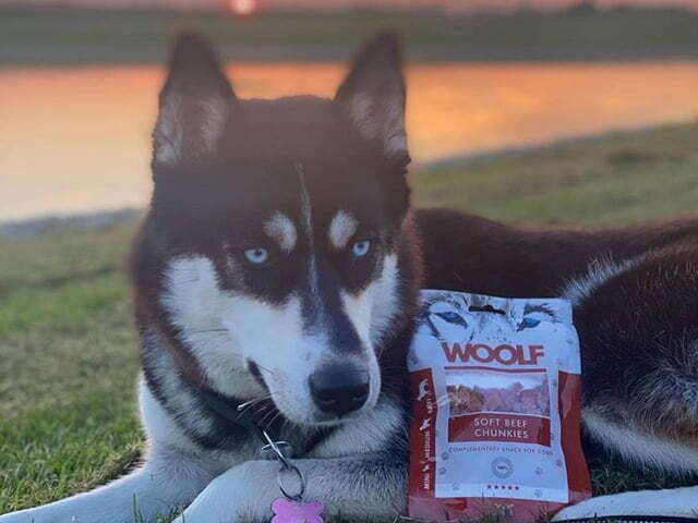 Woolf Soft Beef Chunkies 100g (UDSOLGT)