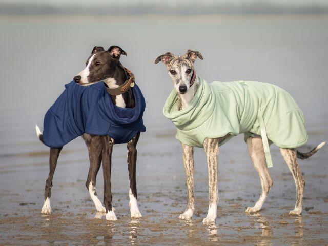 Paikka Tørredragt 2Go, Navy