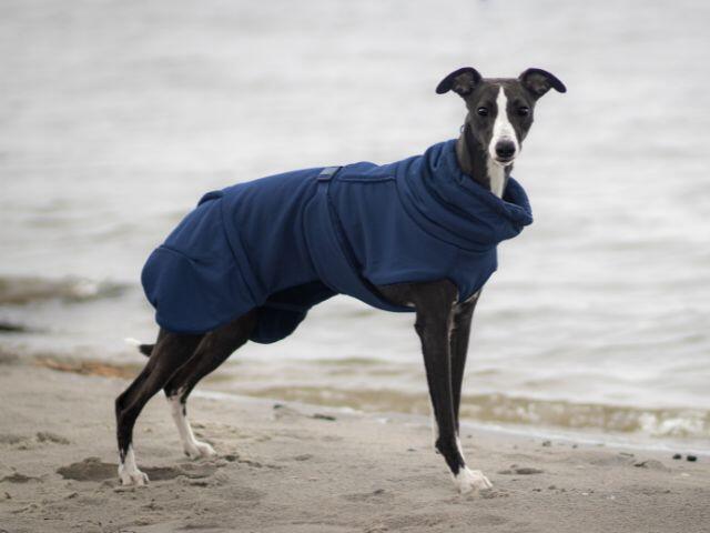 Paikka Tørredragt 2Go, Navy