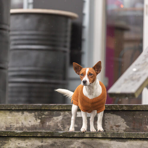 CityStyle Berlin pullover - Rust