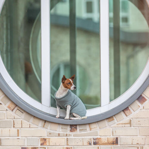 CityStyle Berlin pullover - Sage