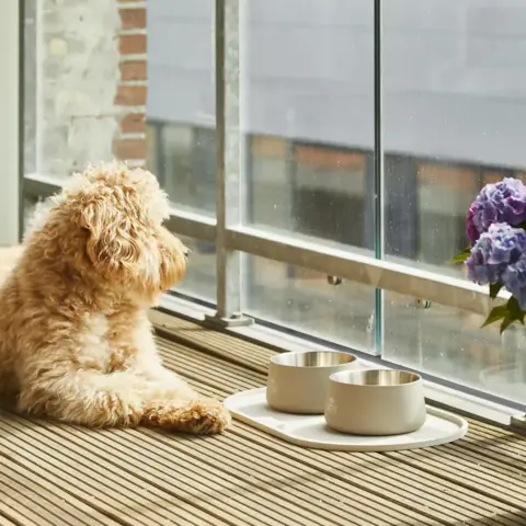 Dog Copenhagen Vega Skål - Caffe Latte