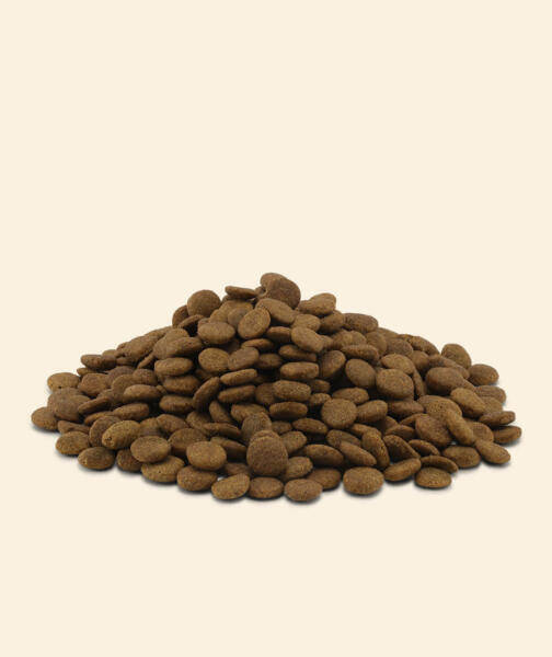 Essential Eternal Living 10 kg  ( FRI FRAGT )