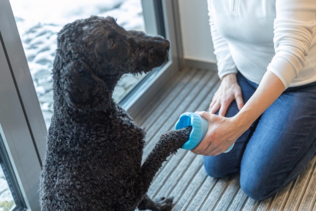 Trixie Paw cleaner - Poterenser M/L