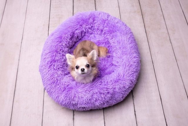 Fluffyseng - Lilla 50x50x18cm