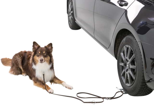 Drive-on plate - til montering af hundesnor
