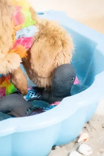 Flyde legetøj Ring o’ Ducky (Flamingo)