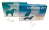 Capstar Vet. Loppemiddel 11-57 kg