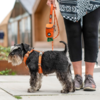 Dog Copenhagen Comfort Walk Air Sele - Orange