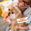 Smoofl Hundeis Mix - Mango