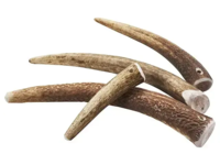 Gevir til hund (kastestang)