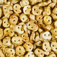 Grisetryner til hund