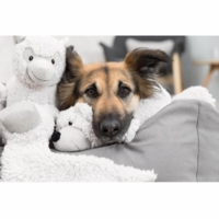 Be Eco Alpaca Eyleen - Genbrugsplys!